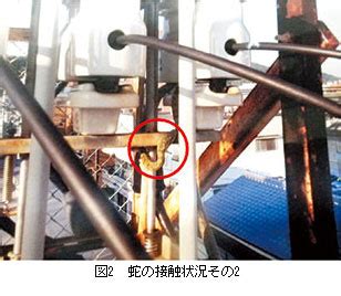 蛇 電線|電気事故に学ぼう46 他物接触 (鳥獣接触)による波及事故｜四国 